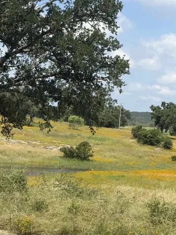 3255 Cr 435 Cherokee TX 76832