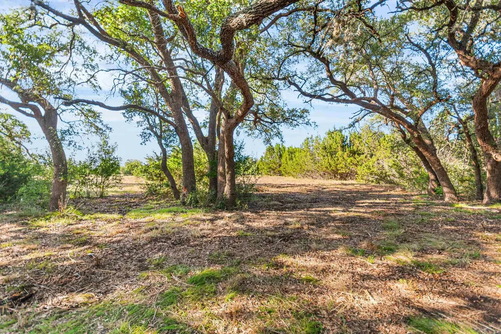 Lot 160 Brumley View Court Marble Falls TX 78654