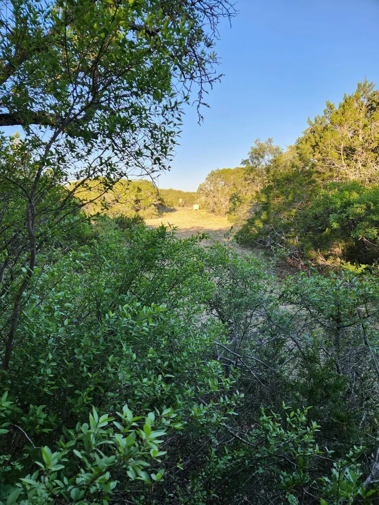 000 Private Road 3150 Out Of Area TX 78832