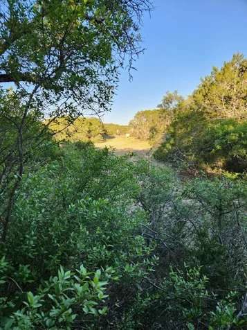 000 Private Road 3150 Out Of Area TX 78832