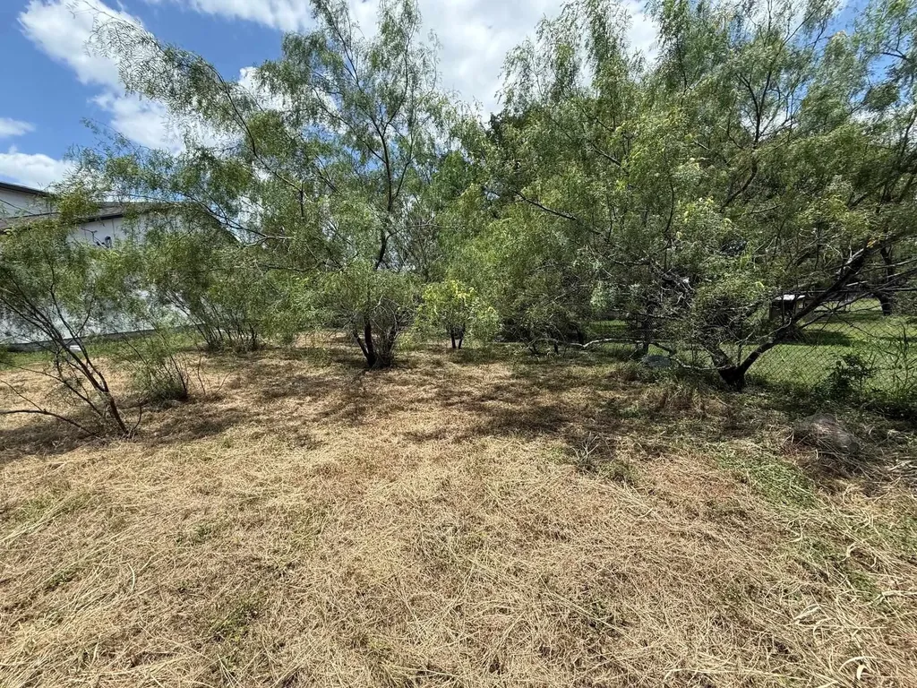 Lot 477 Aspen Cottonwood Shores TX 78657