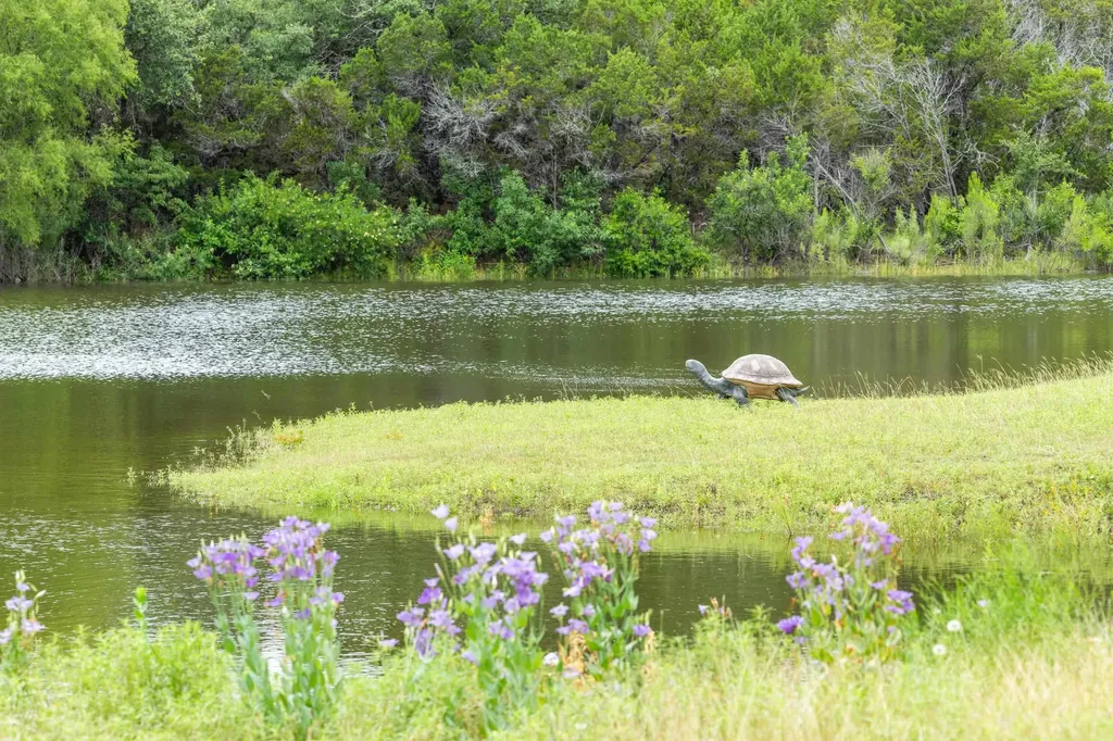 1300 Sycamore Falls Way Marble Falls TX 78654