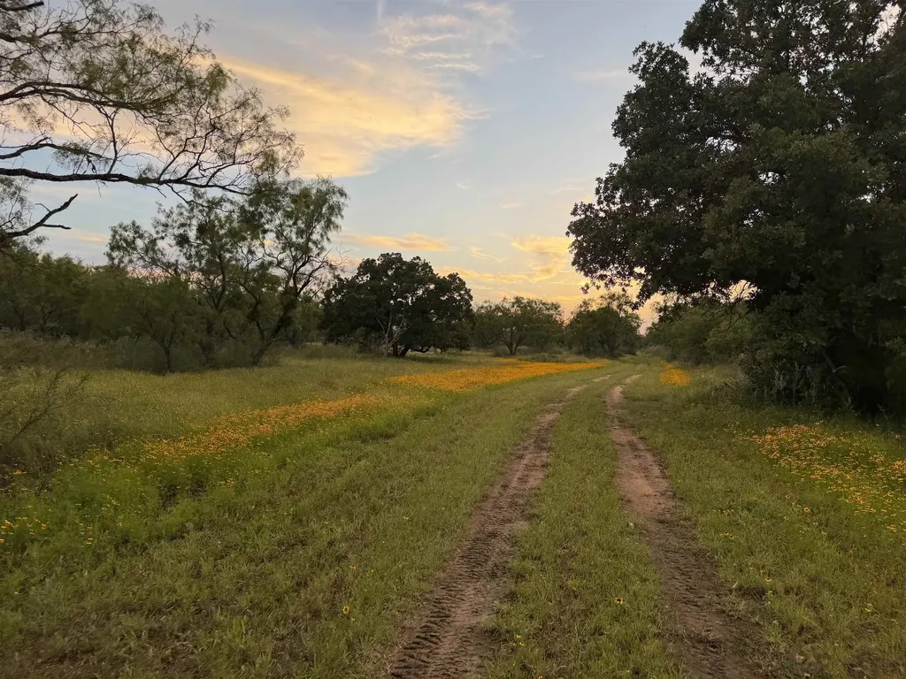 Tbd Fm 1980- Tract 1 Marble Falls TX 78654