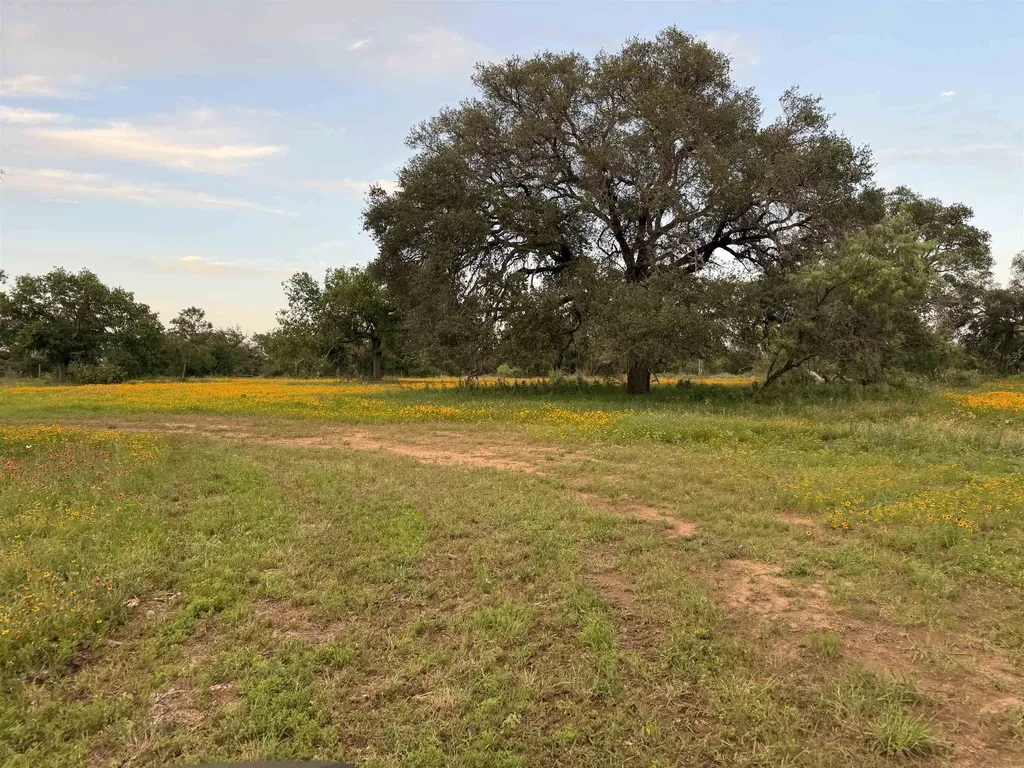 Tbd Fm 1980- Tract 1 Marble Falls TX 78654