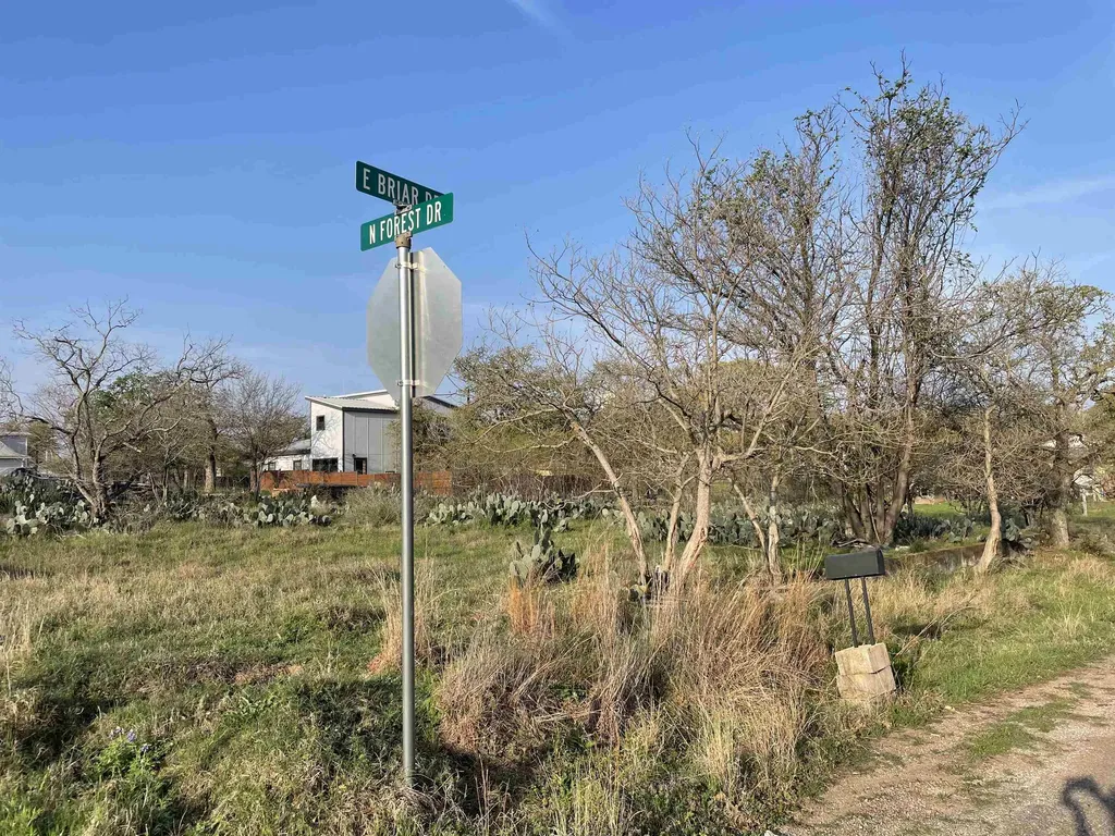 Lots 168-171 E Briar Granite Shoals TX 78654