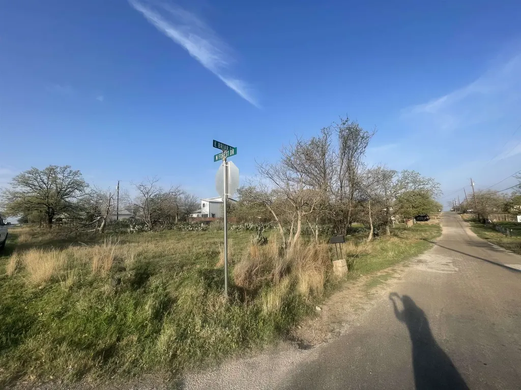 Lots 168-171 E Briar Granite Shoals TX 78654