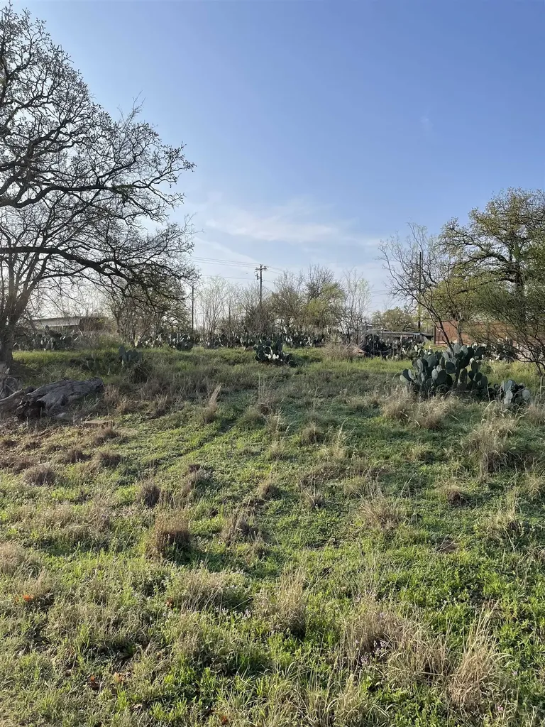 Lots 168-171 E Briar Granite Shoals TX 78654