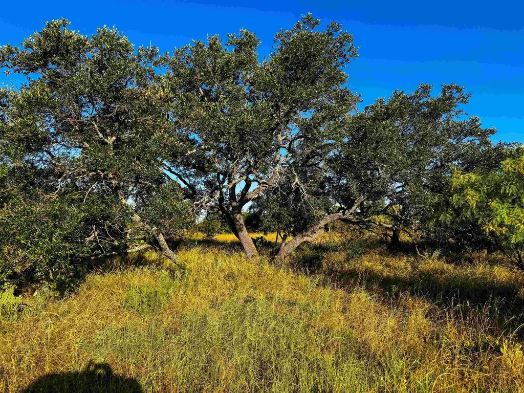 0 W Highway 29 Llano TX 78643