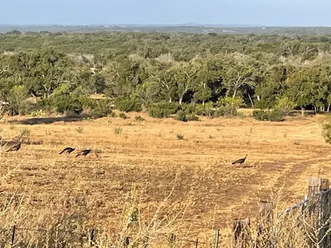 3118 Co Road Spicewood TX 78669