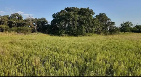204 Fm 2997 Richland Springs TX 76871