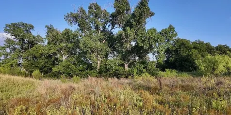 204 Fm 2997 Richland Springs TX 76871