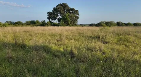 204 Fm 2997 Richland Springs TX 76871