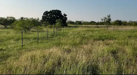 204 Fm 2997 Richland Springs TX 76871