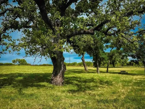1300 Cr 146 San Saba TX 76877