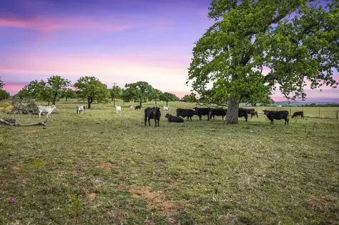 13038 High Point Road Pontotoc TX 76820