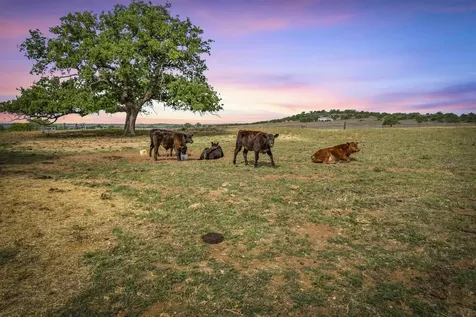 13038 High Point Road Pontotoc TX 76820