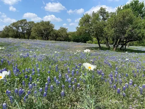 Lot 118 Overlook Parkway Horseshoe Bay TX 78657