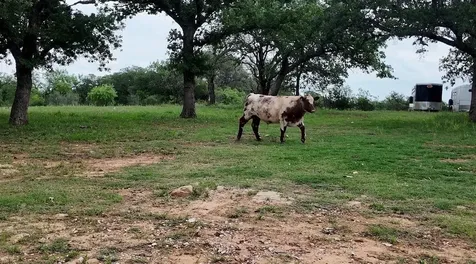 2668 County Road 260 Richland Springs TX 76871