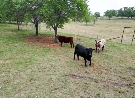 2668 County Road 260 Richland Springs TX 76871