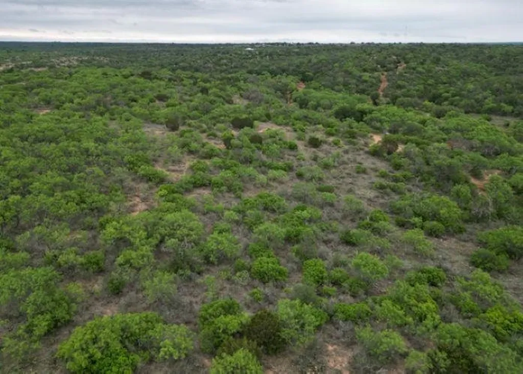 2391 W Fm 574 Mullin TX 76864