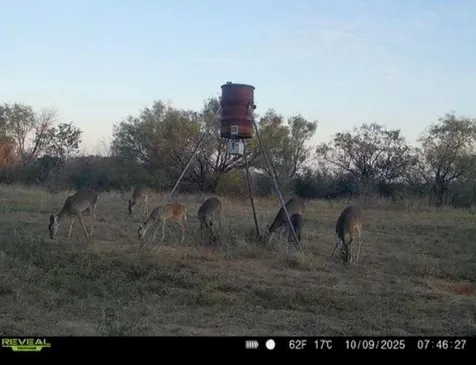 2391 W Fm 574 Mullin TX 76864