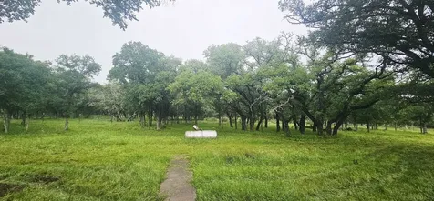 505 E Fm 501 Cherokee TX 76832