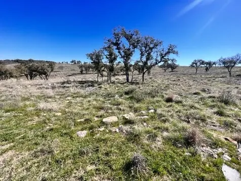 Lot 202 Tbd Westridge Way, Big Creek Ranch Kingsland TX 78639