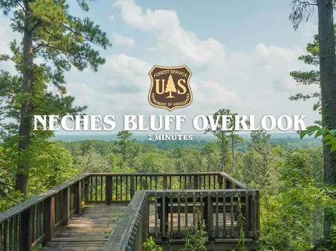 00 Forest Service Road 511 Grapeland TX 75844