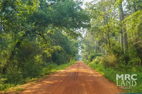 00 Forest Service Road 511 Grapeland TX 75844