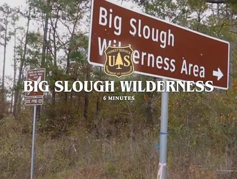 00 Forest Service Road 511 Grapeland TX 75844