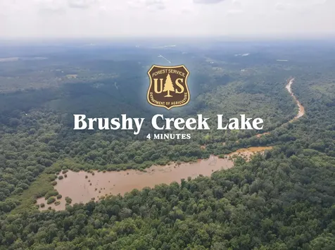 00 Forest Service Road 511 Grapeland TX 75844
