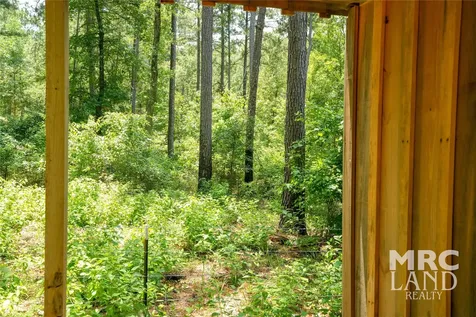 00 Forest Service Road 511 Grapeland TX 75844