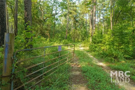 00 Forest Service Road 511 Grapeland TX 75844