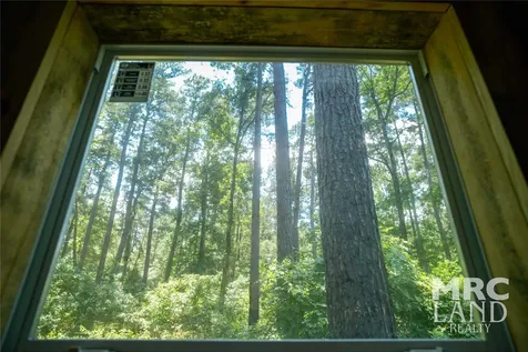 00 Forest Service Road 511 Grapeland TX 75844