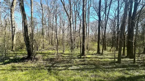 0 Royal Springs Road Road Conroe TX 77303