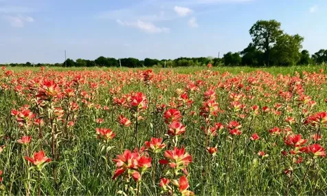 923 County Road 138 Cameron TX 76520