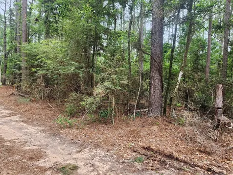 277 Long King Livingston TX 77351