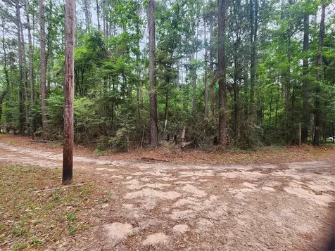 277 Long King Livingston TX 77351