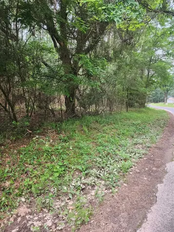 277 Long King Livingston TX 77351