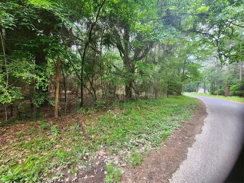 277 Long King Livingston TX 77351