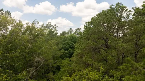 781 Mason Lane Milam TX 75959