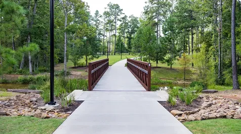119 Bluebell Woods Way Willis TX 77318