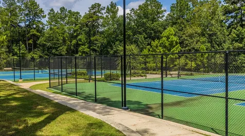 119 Bluebell Woods Way Willis TX 77318