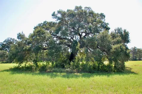 Lot 4 Harvell Lane Schulenburg TX 78956