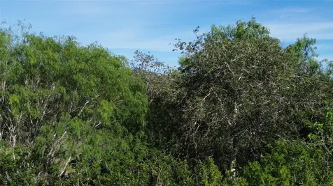 6104 Lucas Road Goliad TX 77963