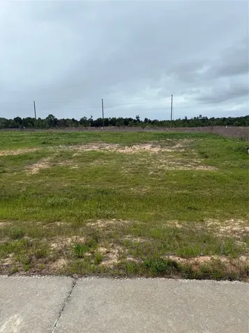 393 Road 5915-24 Cleveland TX 77327