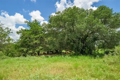 4900 Andreas Road Round Top TX 78954