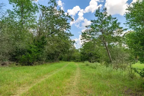 4900 Andreas Road Round Top TX 78954