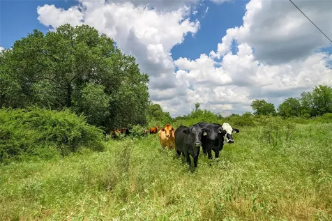 4900 Andreas Road Round Top TX 78954