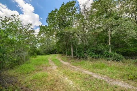 4900 Andreas Road Round Top TX 78954